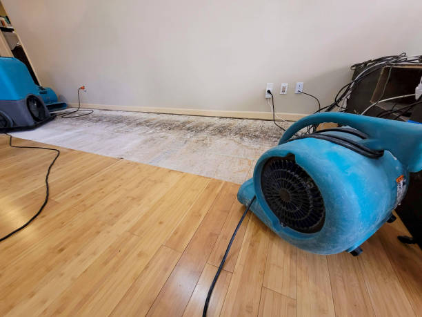 Professional Water Damage Repair technician working in Delaware, OK